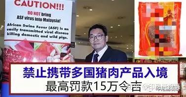 印尼猪瘟最新爆料图册,揭秘爆发原因与防控措施